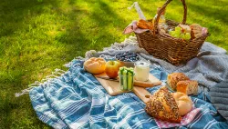 Piquenique no Parque - Semana da Pessoa Idosa no Sesc